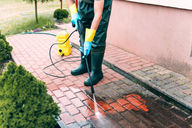 Best Pool Deck Cleaning  in Harris Hill, NY