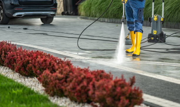 Best Dumpster Area Cleaning  in Harris Hill, NY